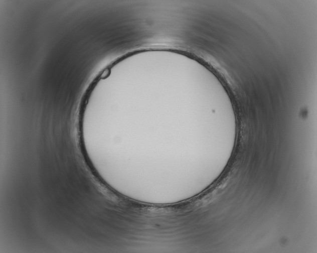 X0000116791469201001151051