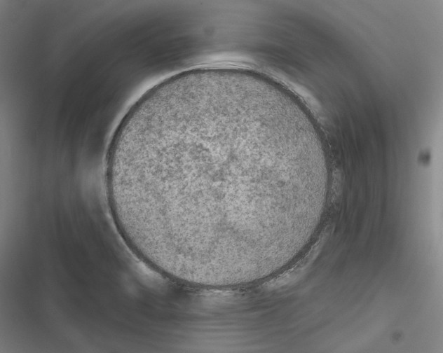 X0000116791470201001151051