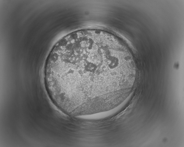 X0000116791471201001151051