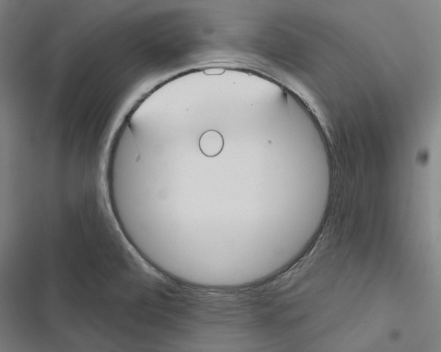 X0000116791472201001151051