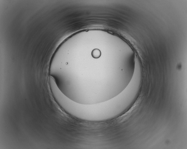 X0000116791473201001151051