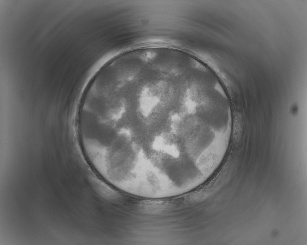 X0000116791474201001151051