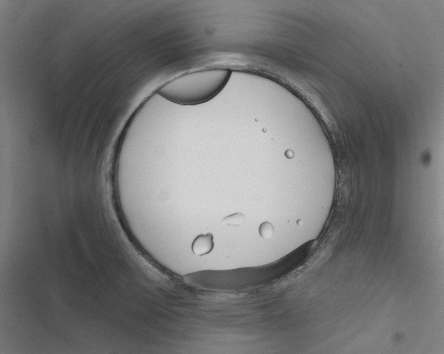 X0000116791475201001151051