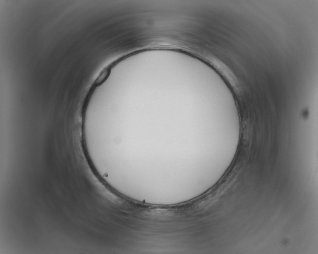 X0000116791476201001151051