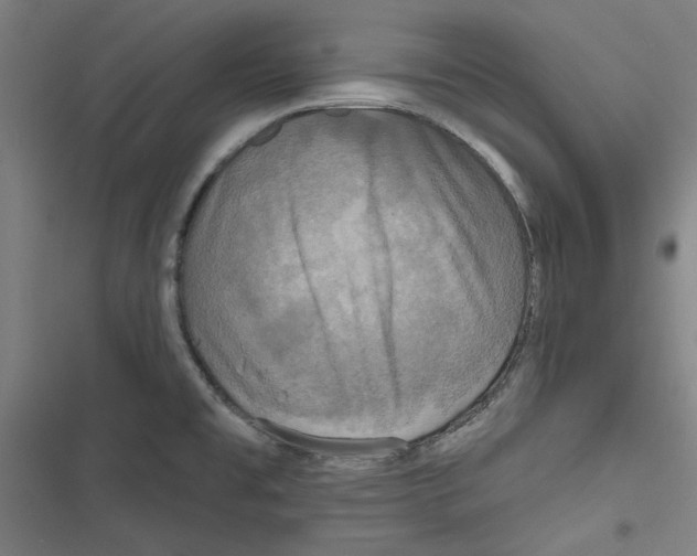 X0000116791477201001151051