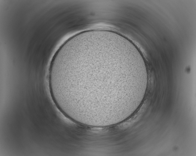 X0000116791478201001151051