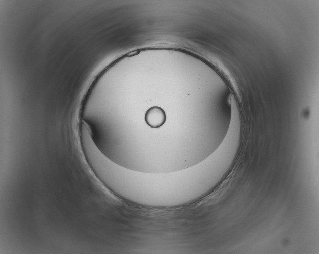 X0000116791480201001151051