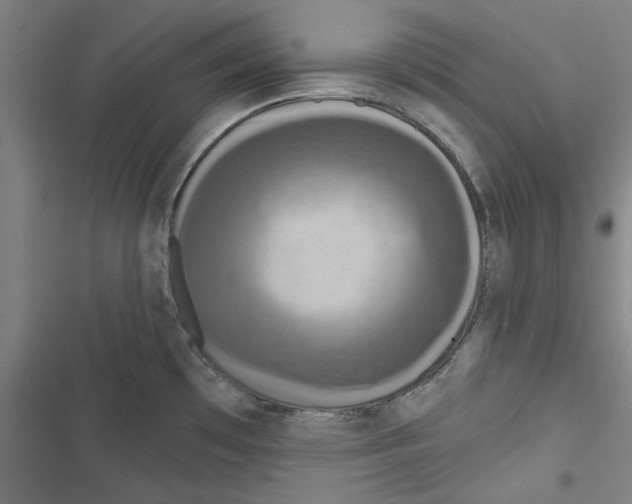 X0000116791481201001151051