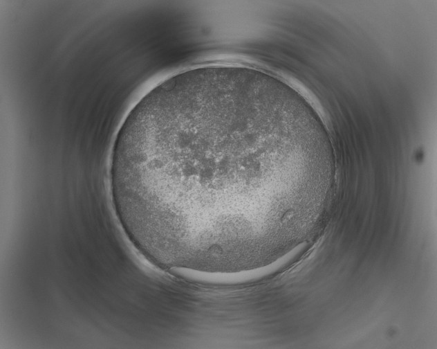 X0000116791482201001151051