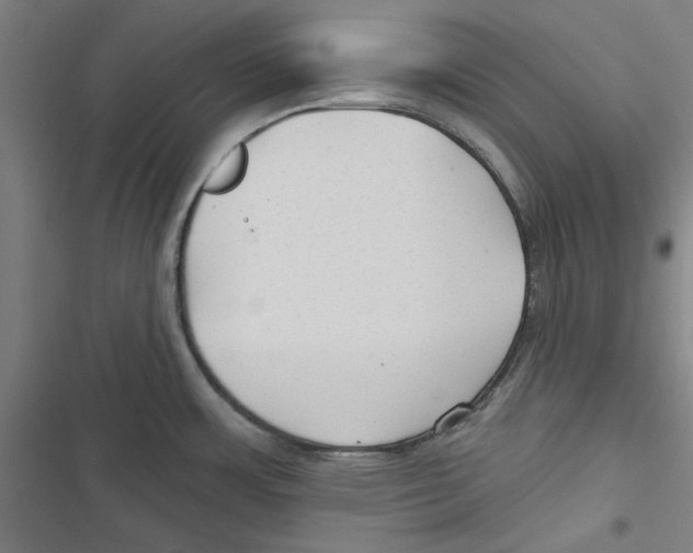 X0000116791483201001151051