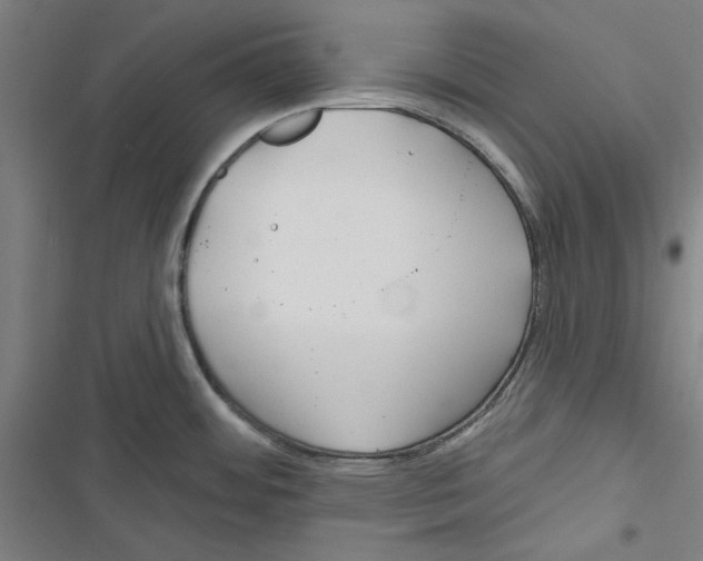 X0000116791484201001151051