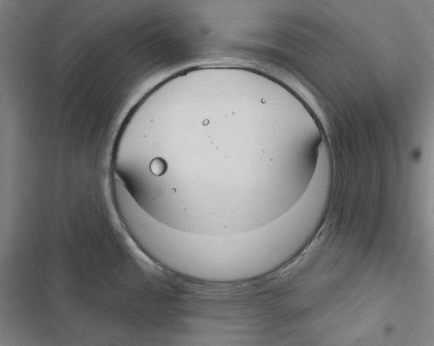 X0000116791485201001151051