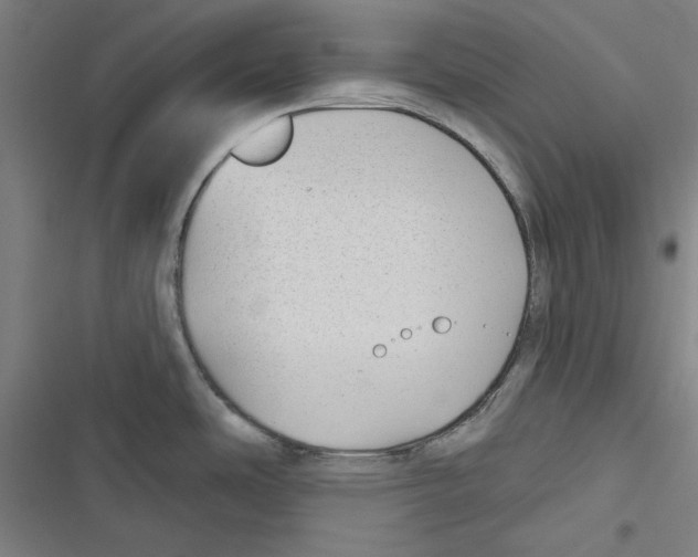 X0000116791486201001151051