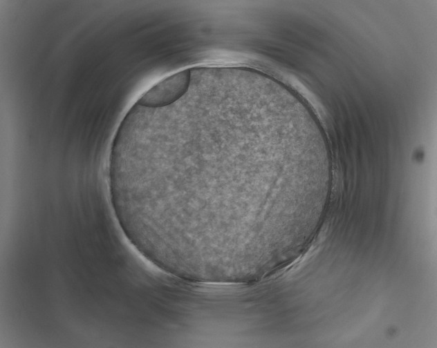 X0000116791487201001151051