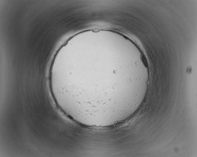 X0000116791488201001151051