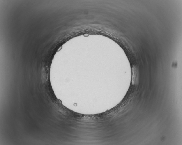 X0000116791491201001151050