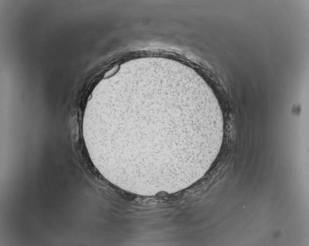 X0000116791493201001151050