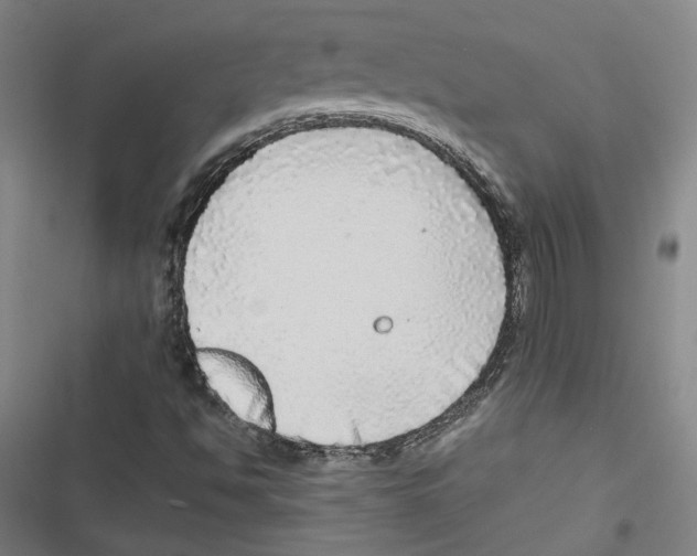 X0000116791494201001151050