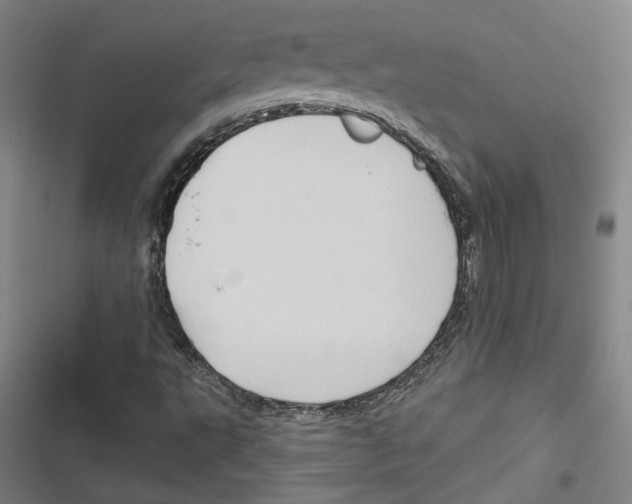 X0000116791495201001151050