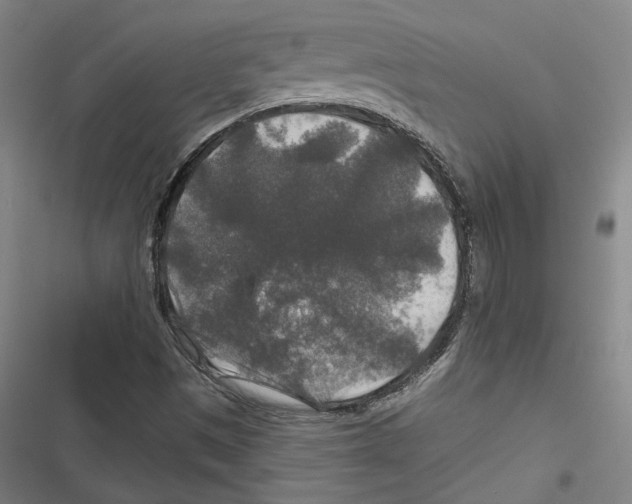 X0000116791497201001151050