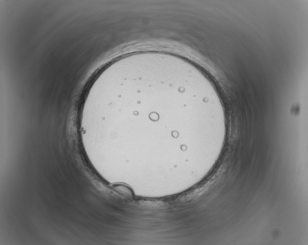 X0000116791498201001151050