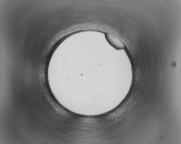 X0000116791499201001151050