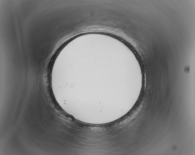 X0000116791501201001151050