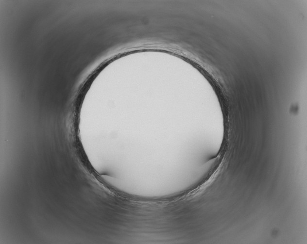 X0000116791502201001151050