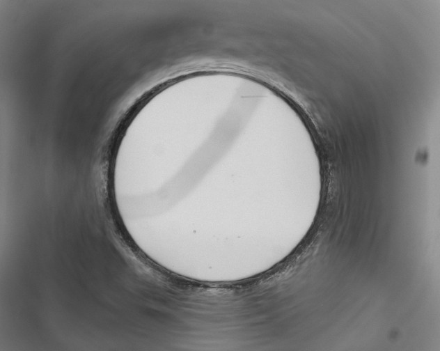 X0000116791503201001151051