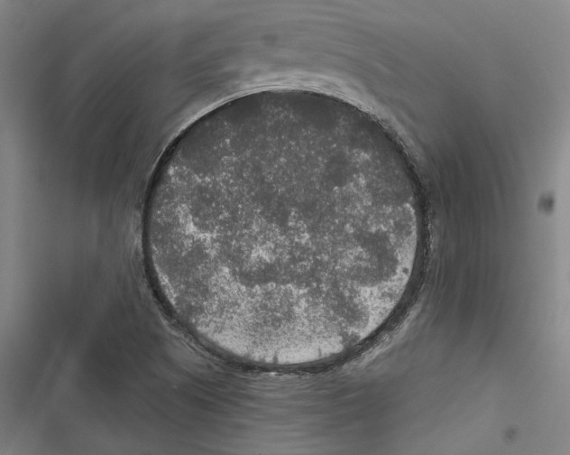 X0000116791505201001151051