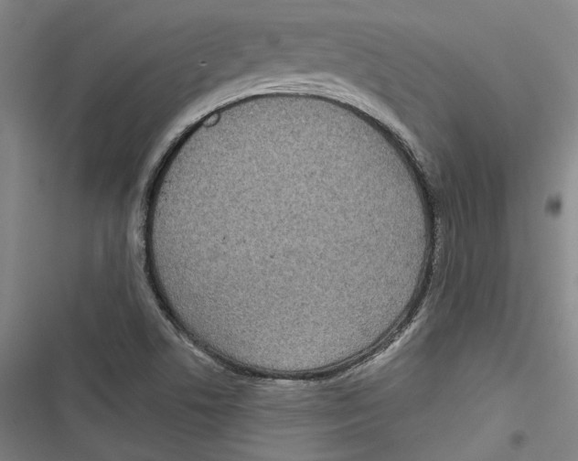 X0000116791506201001151051