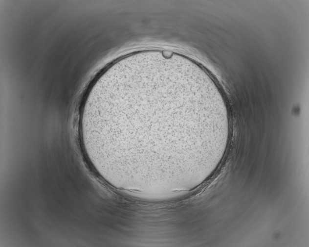 X0000116791507201001151051