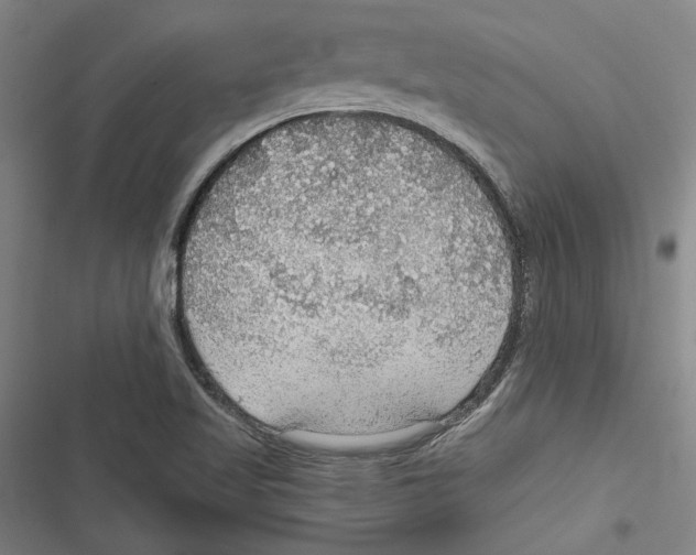 X0000116791509201001151051