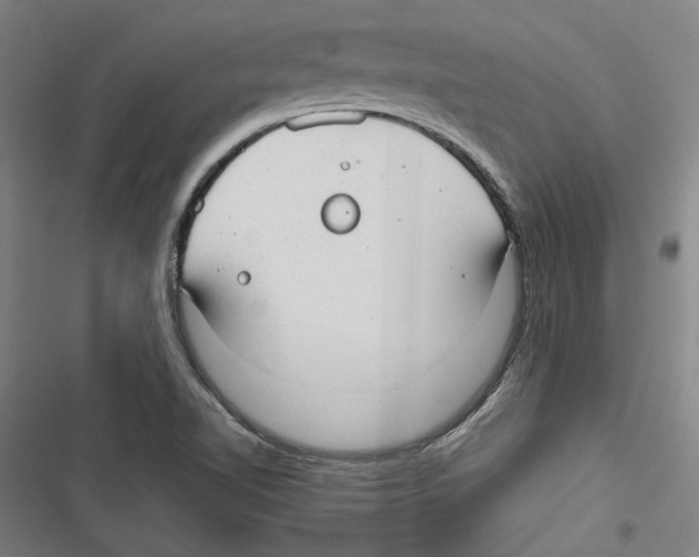 X0000116791510201001151051