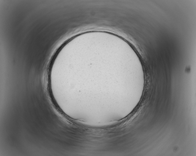 X0000116791511201001151051