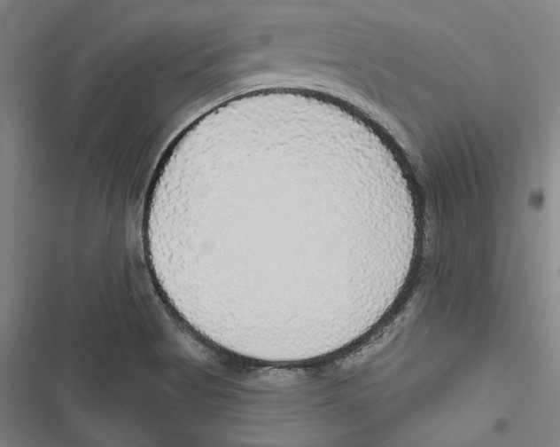 X0000116791513201001151051