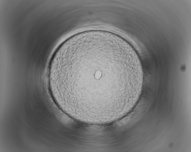 X0000116791514201001151051