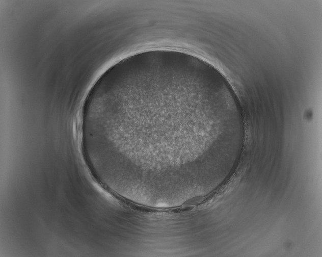 X0000116791515201001151051