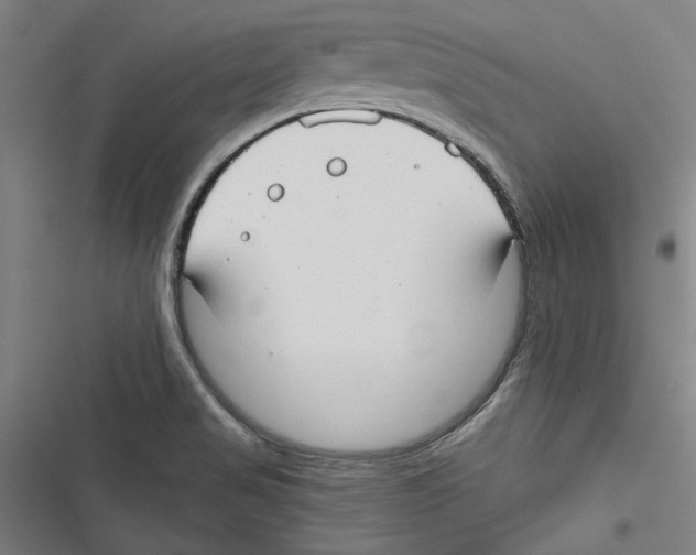 X0000116791517201001151051