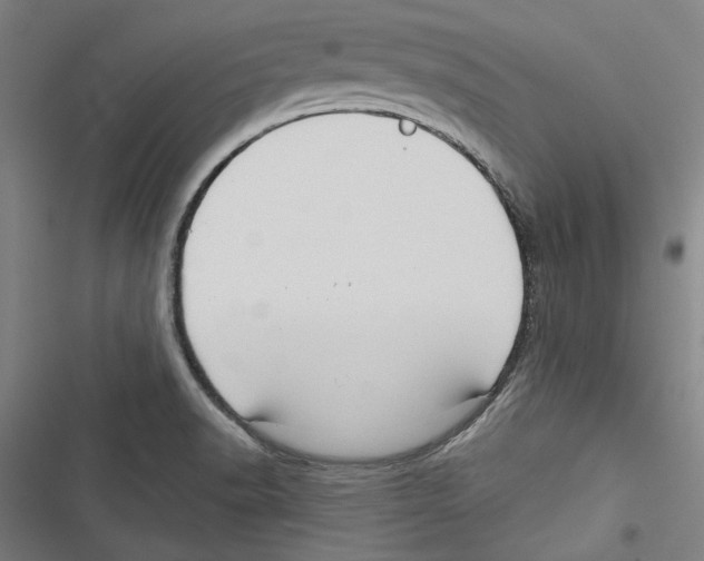 X0000116791518201001151051