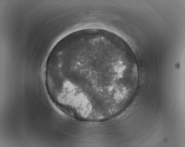 X0000116791519201001151051