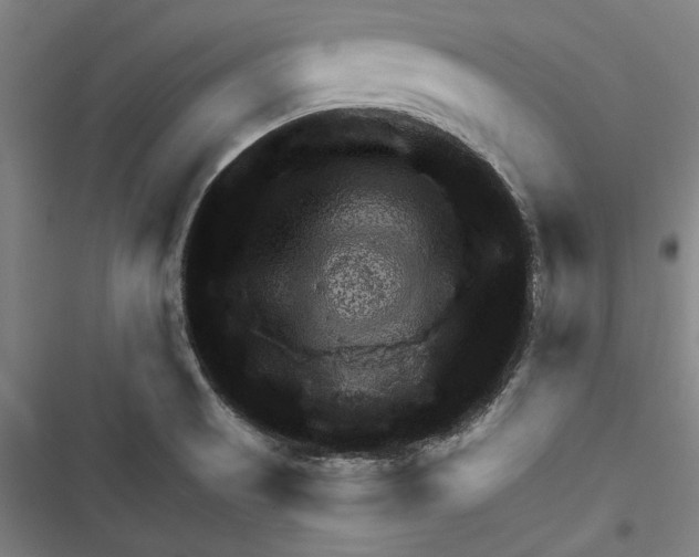 X0000116791521201001151051