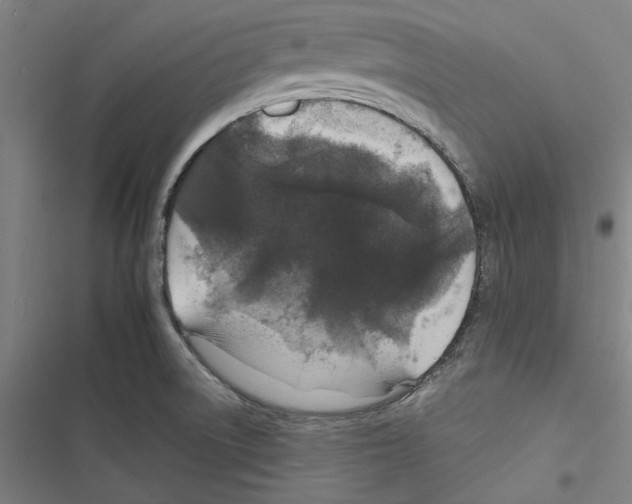 X0000116791522201001151051