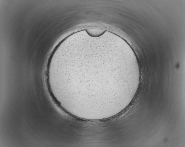 X0000116791523201001151051