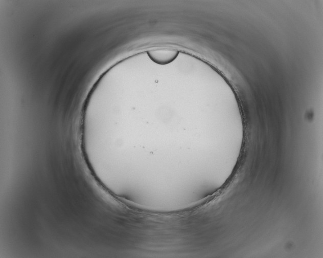 X0000116791526201001151051