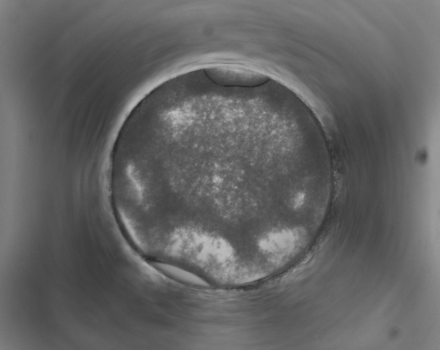 X0000116791527201001151051