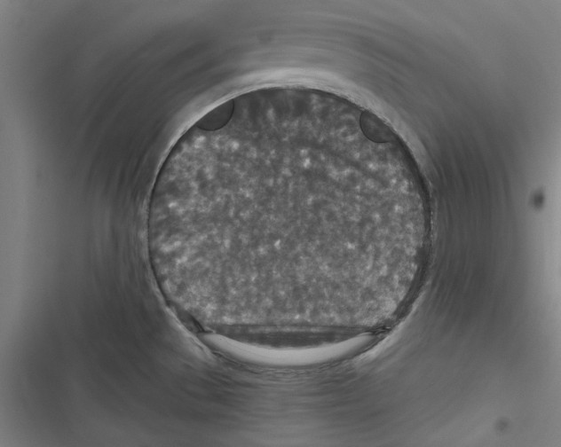 X0000116791529201001151051