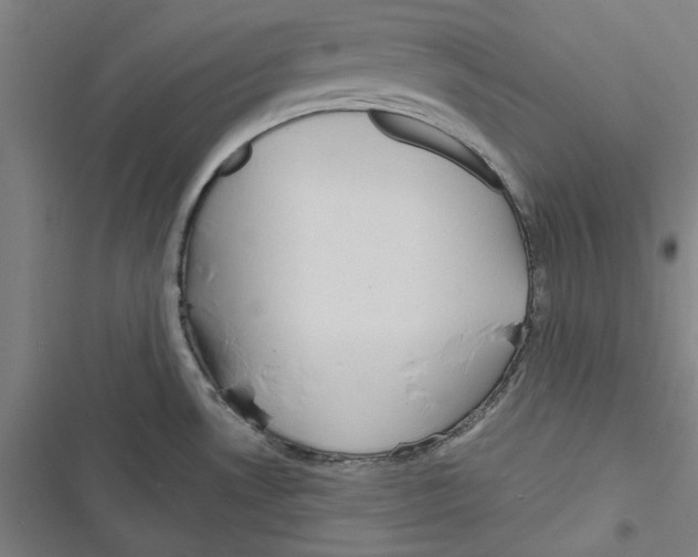 X0000116791530201001151051