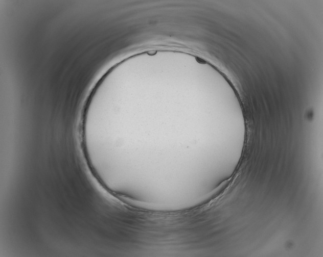 X0000116791531201001151051