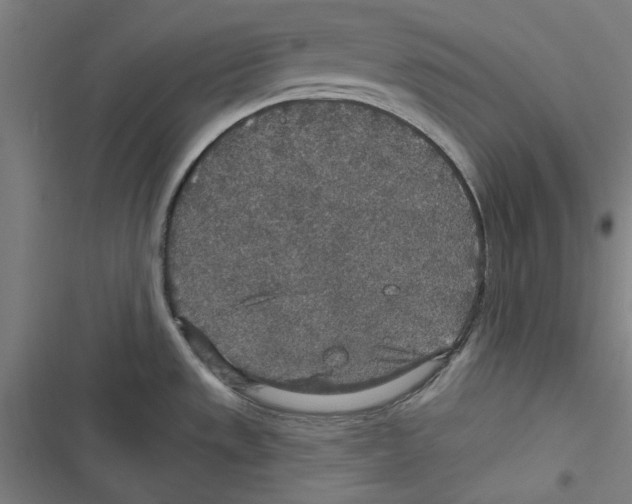 X0000116791533201001151051